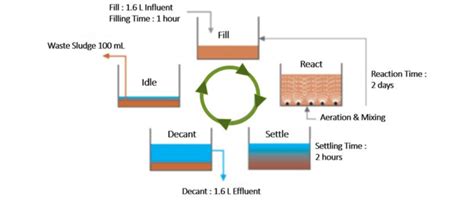 Cycle Time For Each Phase Of An Sbr System Download Scientific Diagram