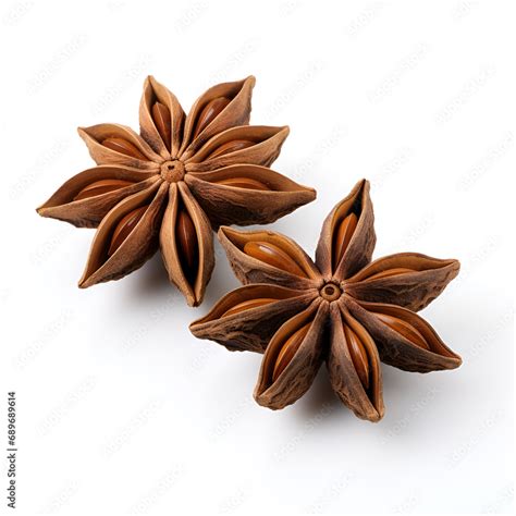 Star Anise Spice Fruits And Seeds Isolated On White Background Top