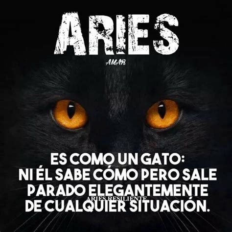 Pin De Perla Hern Ndez En Aries Signo Zodiacal Aries Horoscopo Aries