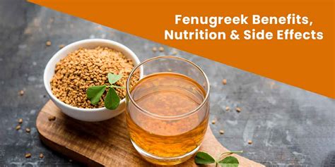 Fenugreek Benefits Nutrition Side Effects