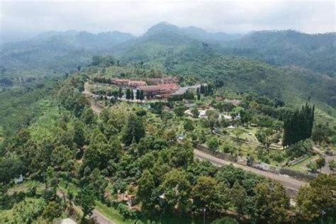 Puncak Rembangan Jember - Salsa Wisata