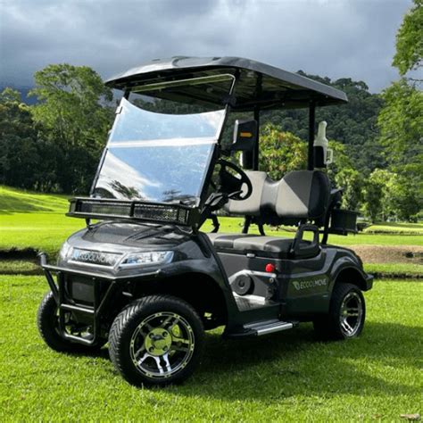 Big Cart 02 Pessoas Kit Golf Incluso Ecoolmove