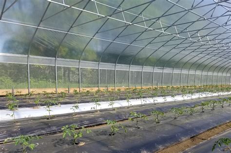 High Tunnel And Greenhouse Catalog Ct Greenhouse