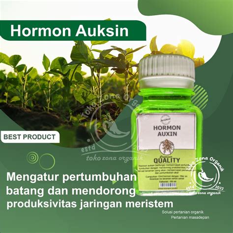 Jual Hormon Auksin Ml Pertumbuhan Pembelahan Sel Akar Batang Pecah