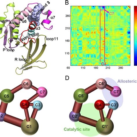 The Allosteric Signal Pathway For Ptp B Propagating From The Allosteric