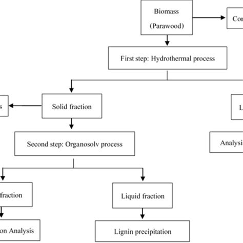 Process Flow Chart Of The Two Step Fractionation Download Scientific