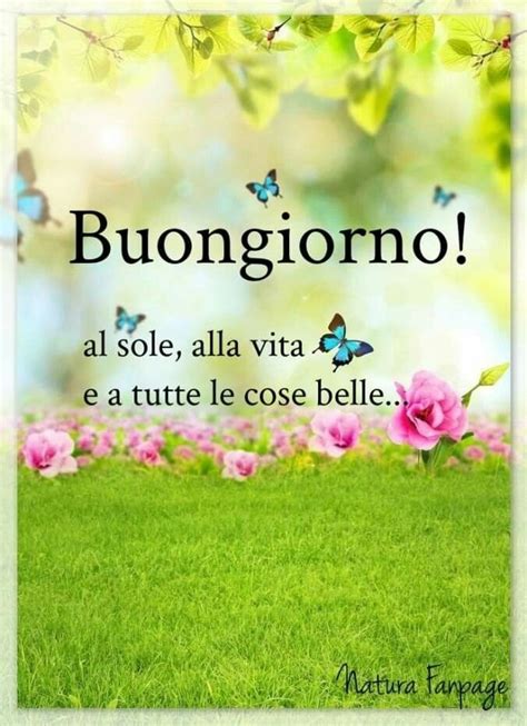 Pin Su Good Morning Buongiorno Bom Dia Buongiorno Buongiorno