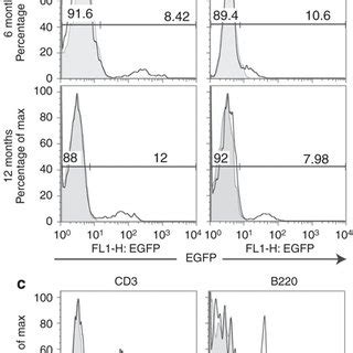 Transduction Efficiency In Hematopoietic Progenitors And Expression