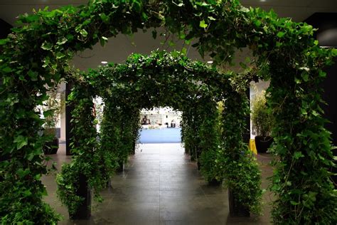 Wedding Arches And Arch Walkways Hiring Trees Plants Related Props