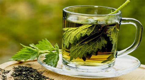 Té de perejil sus beneficios y cómo prepararlo Remedios Naturales