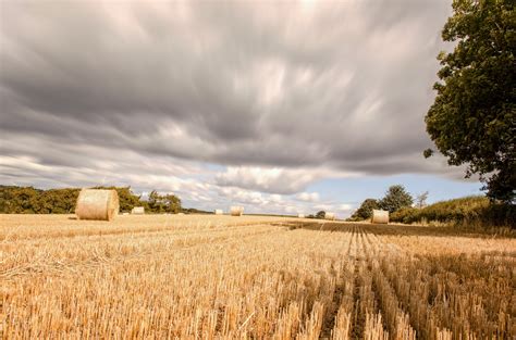 Agriculture Free Stock Photo - Public Domain Pictures