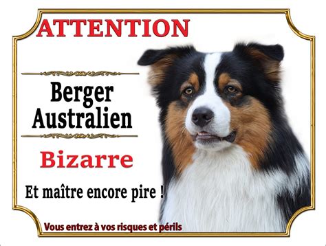 Plaque Humour De Danger Attention Au Chien Panneau Berger Australien