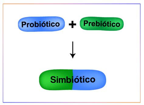 Diferencias Entre Probióticos Prebióticos Y Simbióticos