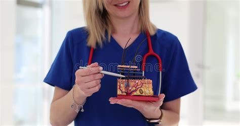 Cosmetologist Holds Anatomical Model Of Hair Follicle Stock Footage
