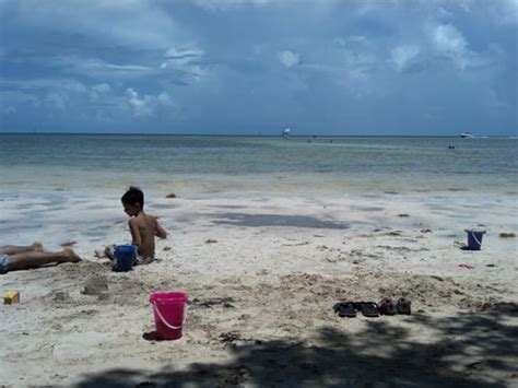 Anne’s Beach - Beaches - Islamorada, FL - Reviews - Photos - Yelp