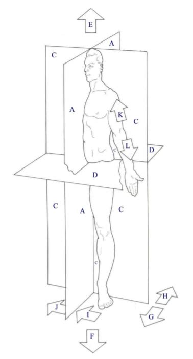 Unit Diagram Quizlet