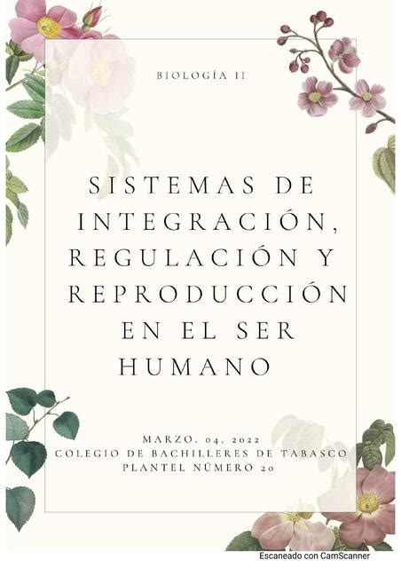 Sistemas De Integración Regulación Y Reproducción En El Ser Humano