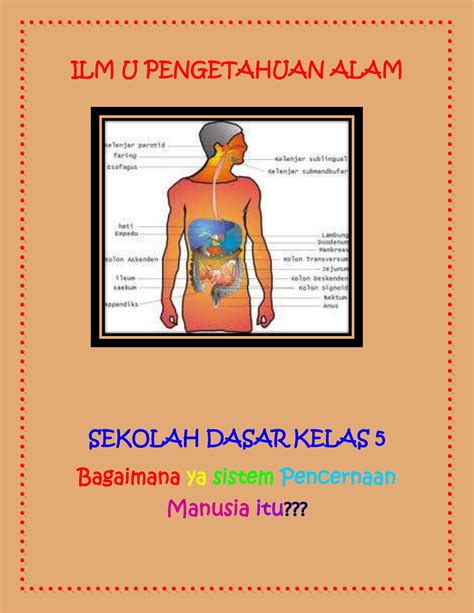 Membuat Poster Sistem Pencernaan Manusia Amat