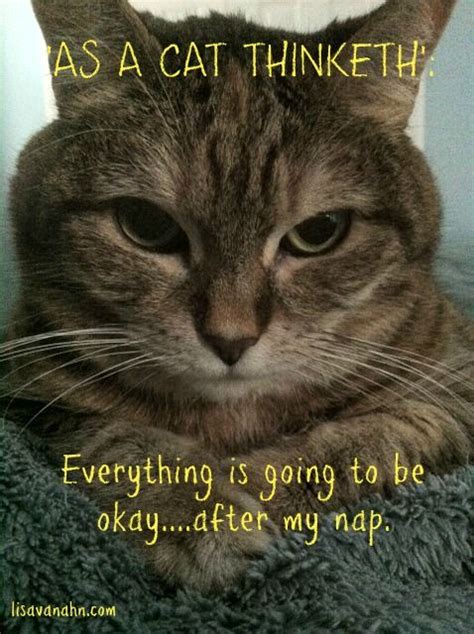 Everything Will Be Okayseriously Its Okay Everything Funny Cats