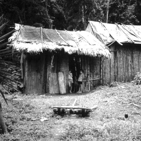 History Of The Osa Peninsula Luna Lodge Costa Rica