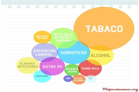 Las Causas Del C Ncer Mejor Sin C Ncer