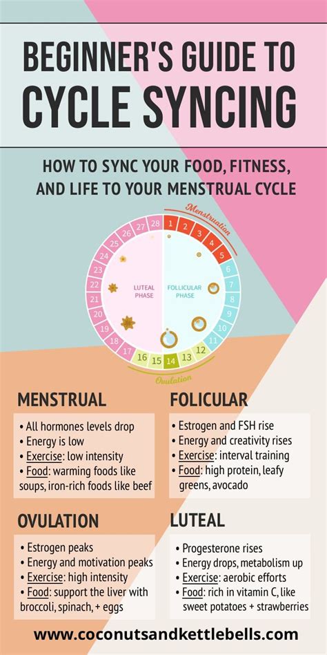 Beginner S Guide To Cycle Syncing How To Adapt Food And Exercise To