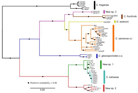 Pathogen genetic diversity and evolution | Instituto Superior de Agronomia