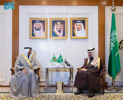 Foreign Minister Receives Gcc Secretary General