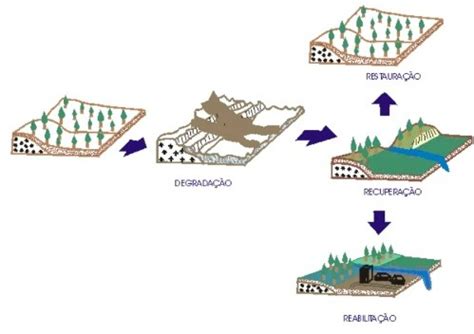 Recuperação pós mineração Minas Júnior Consultoria Mineral