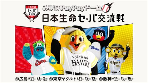 6月13日木交流戦 日本ハムファイターズ 【美品】 野球