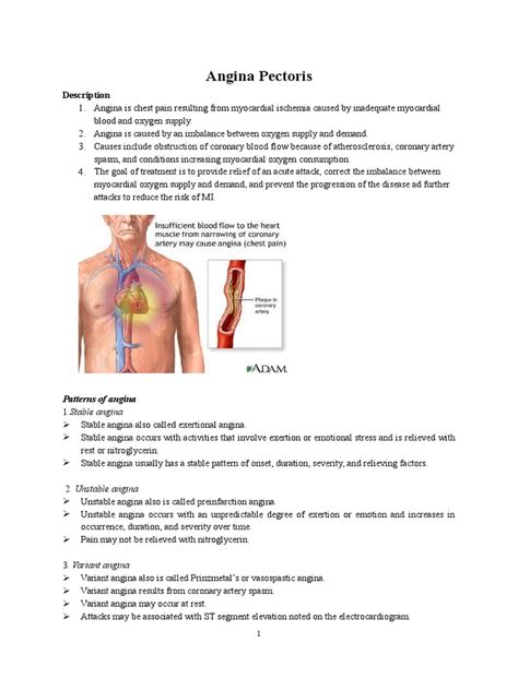 Angina Pectoris Angina Pectoris Coronary Artery Disease