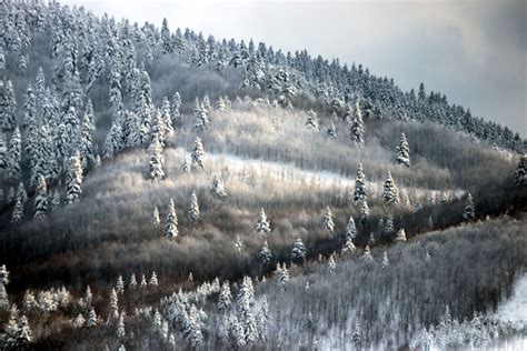 Cuándo empieza el invierno National Geographic en Español