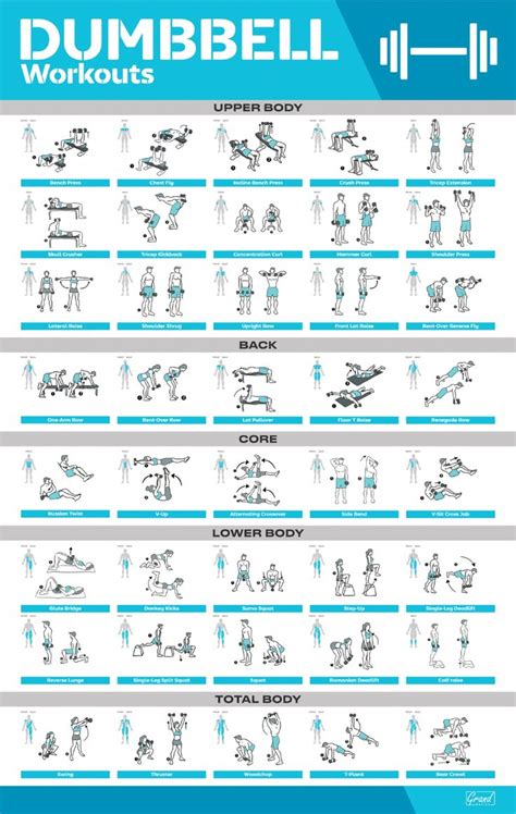 Workout Posters | Gym workout chart, Dumbbell workout, Dumbbell workout ...