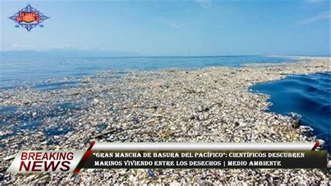 “gran Mancha De Basura Del Pacífico Científicos Descubren Marinos