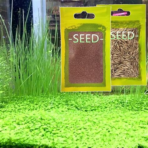 Live Aquarium Plant Seeds Combo Water Grass Plants Mini Leaf And Hair Grass Small