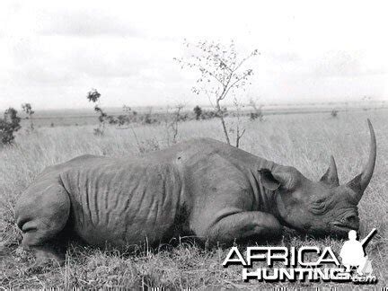 Hunting Black Rhino | AfricaHunting.com