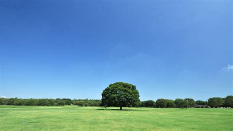 国営昭和記念公園公式ホームページ