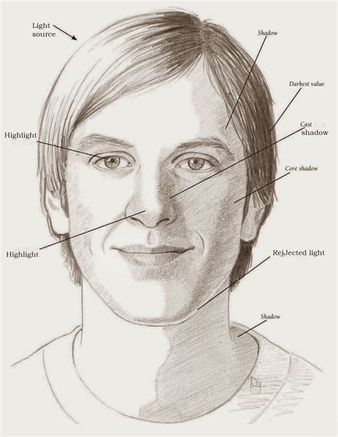 LEARNING THE PLANES OF THE FACE Once you understand the basic structure ...