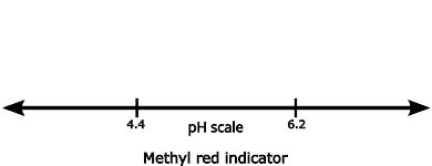 Azo Dyes History Uses And Synthesis Psiberg