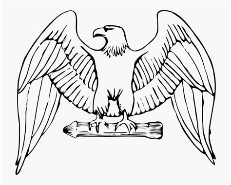 draw an american eagle - Clip Art Library