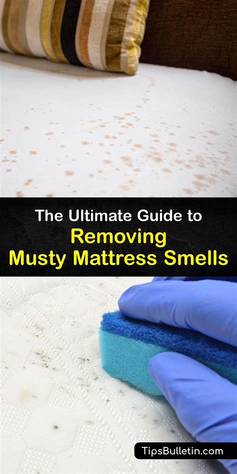 The Ultimate Guide To Removing Musty Mattress Smells Mattress