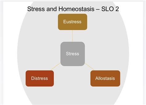 NUR 111 Stress And Coping Flashcards Quizlet