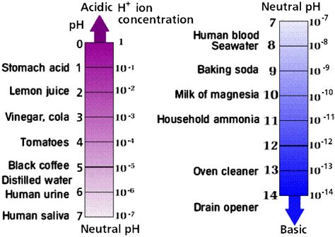 Chemistry Ii Water And Organic Molecules