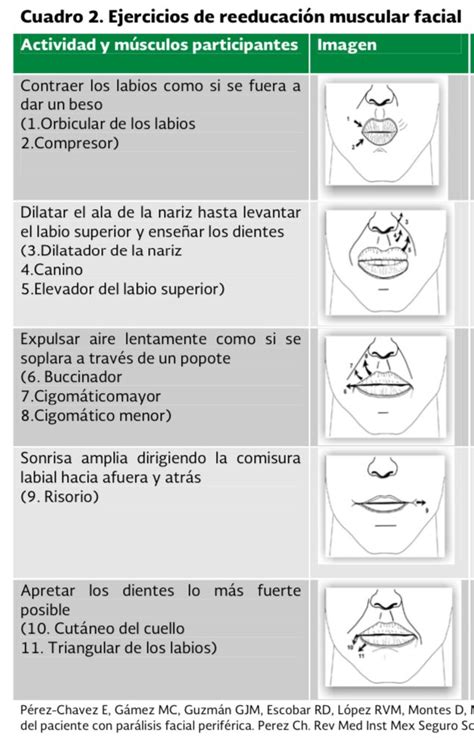 Pautas Enarm On Twitter Ejercicios Para Par Lisis Facial De Bell