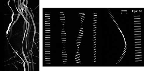 Particles In Turbulence Experimental Fluid Dynamics Eth Zurich