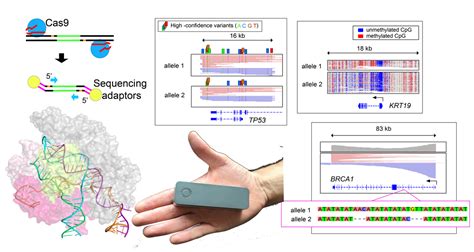 Targeted Nanopore Sequencing With Cas9 Guided Adapter Ligation Nature