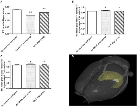 Nissl Staining Of Hippocampal CA1 Subfield A J Representative