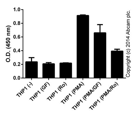 Pka Kinase Activity Assay Kit Ab139435 Abcam