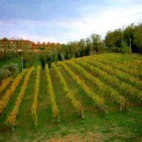 Vino Di Fattoria Ca Rossa Racconta La Sua Storia Fattoria Ca Rossa