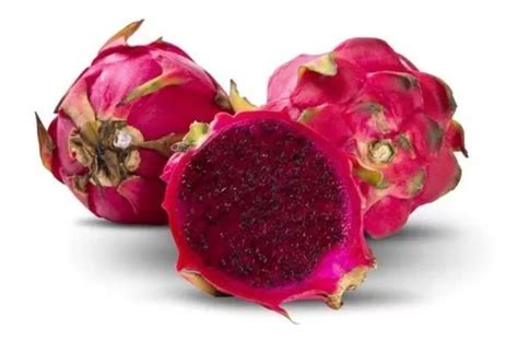 Muda De Pitaya Vermelha Enraizada Autofértil MercadoLivre